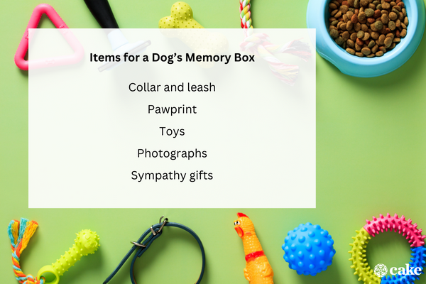 Items for a Dog’s Memory Box